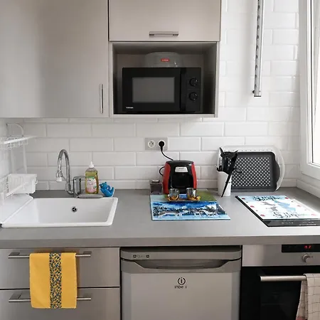 Appartement Climatise Avec Grande Terrasse Privee Au Coeur De Nice